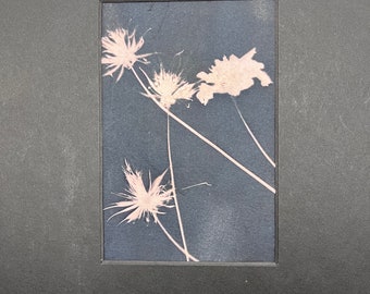 Cyanotype Blue Boho Flower | Queen Annes Lace Flower | Blue Photography OOAK Original | Science Floral artwork