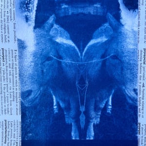 Fotografia cianotipica - Capretto - Stampa blu su carta per acquerello - errore di stampa - Originale OOAK