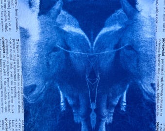 Cyanotype Photograph - Goat Kid - Blue Print on Watercolor paper - misprint  - OOAK Original