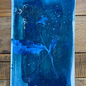 Fotografia cianotipica - Fiori di giglio trota selvatica - Stampa blu su carta per acquerello - Cianotipi alternativi OOAK originale 6x9