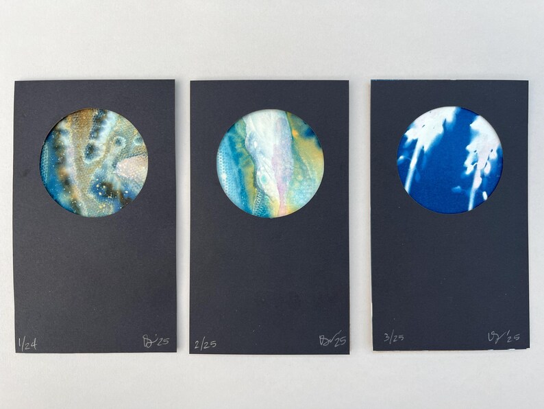 Cyanotype Mini Circle Art | Limited Edition Blue Artwork - Etsy