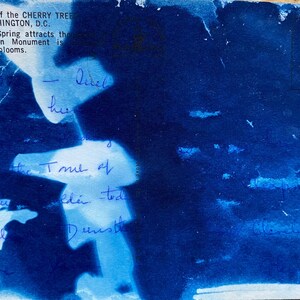 Cartolina Cyanotype Deep Blue Fern Stampa su cartolina antica - Lost Love Letters - Lost Postcards - OOAK Original