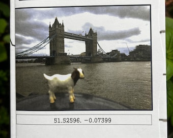 GOAT ZINE #2 | Pocket Goat Mini Photo Travel Zine | fun travel Color Zine