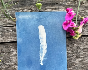 May include: A rectangular cyanotype print on paper featuring a white feather silhouette centered against a deep blue background. The print is displayed alongside a sprig of bright pink sweet pea flowers with green stems and leaves.