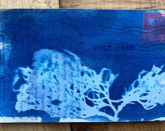 Cyanotype Blue Plant Juniper Coral | Floral Postcard Abstract on Antique Postcard | Alternative Photography OOAK Original