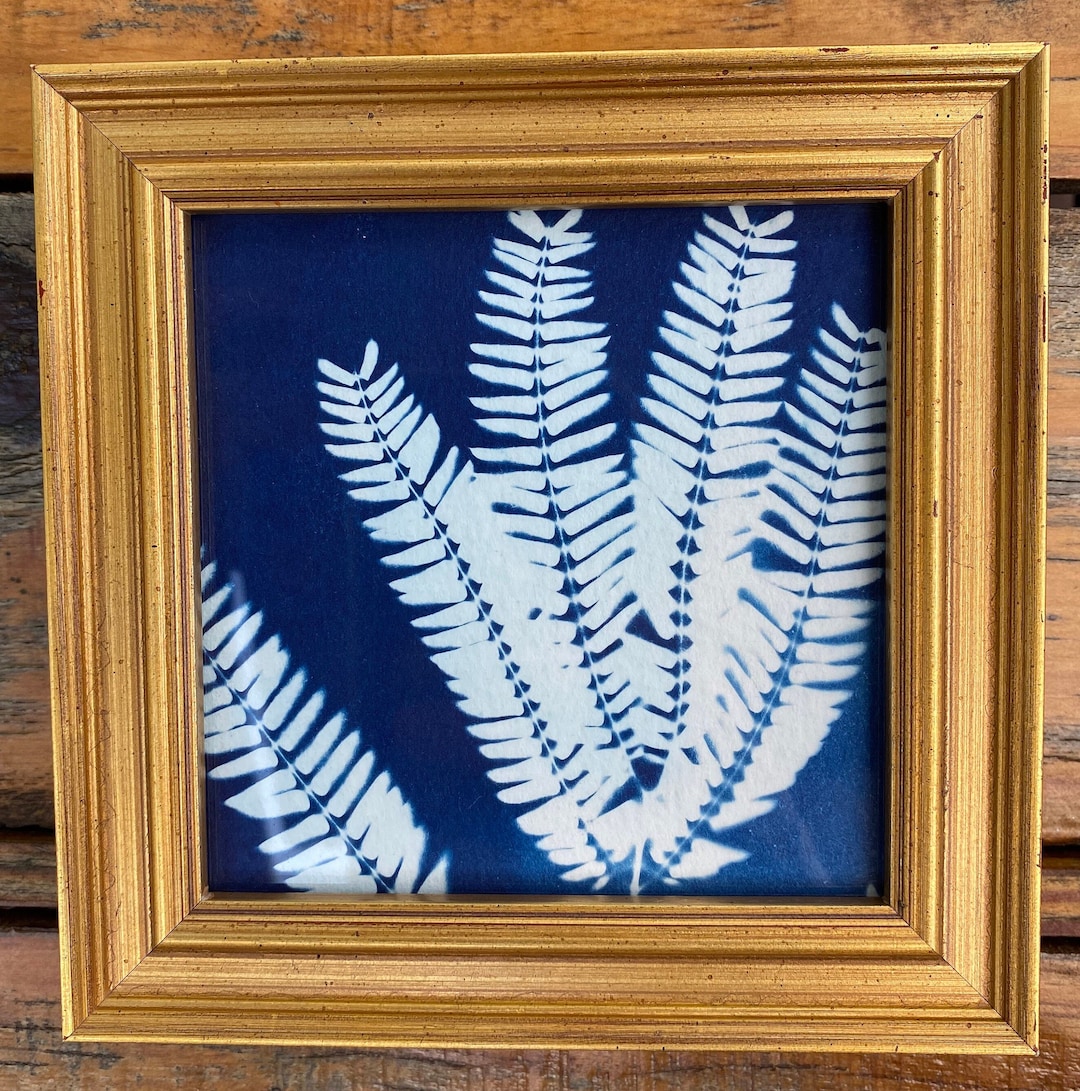 Original Cyanotype Fern Print | Gold Frame, OOAK Nature Art - Etsy