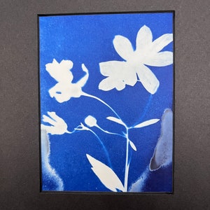 Cyanotype Traditional Print Blue Wild Flowers | Cyanotype Photo Wedding Flowers on Watercolor Paper | Original Art - 8x10