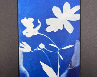 Impression cyanotypie fleurs sauvages | Photo de fleurs bleues sur papier aquarelle, 8 x 10