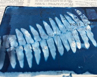 Postal de cianotipo de helecho / Impresión de arte botánico sobre madera envejecida (4x6)