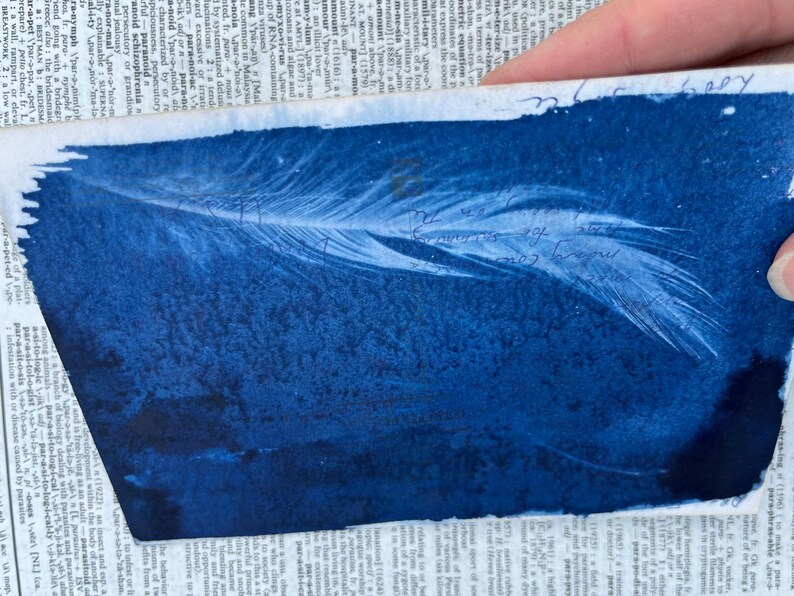 May include: A cyanotype print of a white feather on a dark blue background. The feather is centered in the image and is the main focus. The print has a handwritten inscription in blue ink that reads "the military for auxiliary".