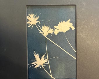 Cyanotype Traditional Print Blue WildFlowers | Cyanotype Photo Flowers on Watercolor Paper | Original Art - 8x10