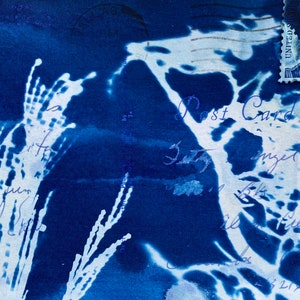 Stampa di fiori secchi su cartolina antica con cianotipia blu oceano - Lettere antiche - Cartoline perdute - Originale OOAK