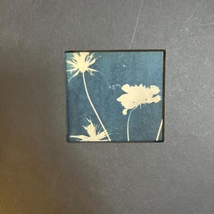 Blue Wild Floral Boho Cyanotype Traditional Print  | Cyanotype Photo Flowers on Watercolor Paper | Original Art - 8x10