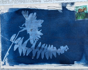 Impresión de postal botánica en cianotipo / Arte de helechos, OOAK antiguo, 4x6