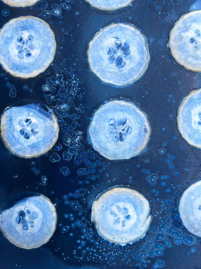 Cucumber Cyanotype Print, Abstract Blue Circle Art (11x14) - Etsy
