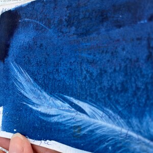 May include: A cyan blue background with a white feather in the center. The feather is partially visible and has a soft, delicate texture. The background has a mottled, textured appearance.