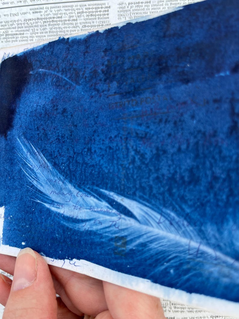 May include: A cyan blue background with a white feather in the center. The feather is partially visible and has a soft, delicate texture. The background has a mottled, textured appearance.