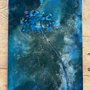 Queen Annes Cyanotype Botanical Original Print | Photograph Blue Plant Art Wood Panel |Wet Cyanotype Abstract Art  | 9x12 original