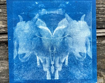 Cyanotype Photograph - Goat Twins Kid - Blue Print on Watercolor paper - OOAK Original