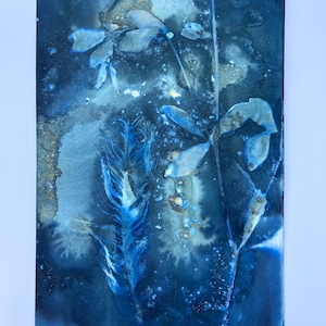 Cyanotype Feather Flower Blue Photograph | Feathers Blue Green Art Abstract | Alternative Water Cyanotypes Original 8x12