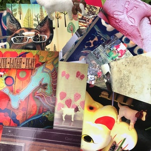 Cartões postais de viagem com fotografia de cabra de bolso #Pocketgoat - Conjunto de cartões postais divertidos com cabra Conjunto de arte postal com 12