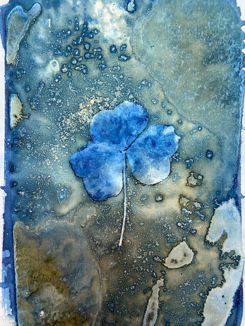 Lucky Clover Leaf Spring Cyanotype | Wet Cyanotypes Print Blue Green ...
