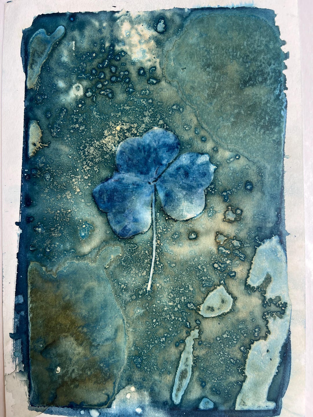 Lucky Clover Leaf Spring Cyanotype | Wet Cyanotypes Print Blue Green ...