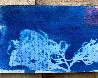 Cyanotype Blue Postcard Dried Flower Print on Antique Postcard - Lost Love Letters - Lost Postcards - OOAK Original