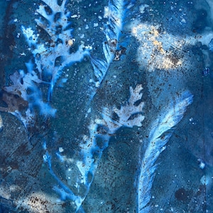 Cyanotype Collagraph Print Abstract Print Feather Dusty Miller | Boho Blue Art Science | Cyanotypes Original Print 11x14 - Unique Art