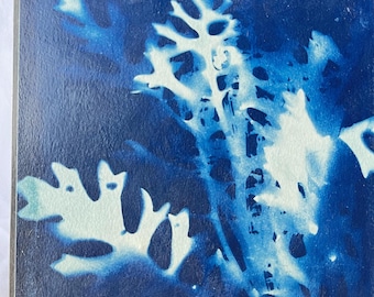 Botanical Cyanotype Fern Print | Blue Abstract Art on Wood (8x8)