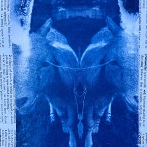 Fotografia cianotipica - Gemelli capretti - Stampa blu su carta per acquerello - errore di stampa - OOAK originale 5x7