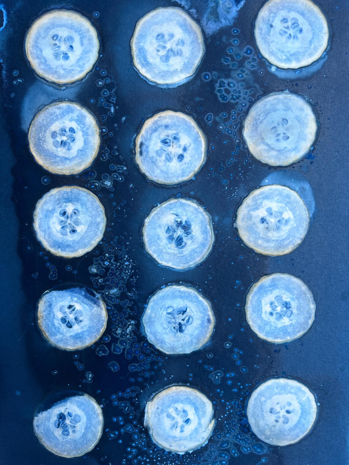 Cucumber Cyanotype Print, Abstract Blue Circle Art (11x14) - Etsy
