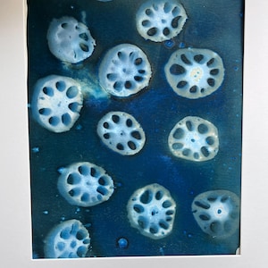 Lotus Abstract Cyanotype Cyan Blues Lotus  Abstract Shapes Cyan Blue Print 11x14