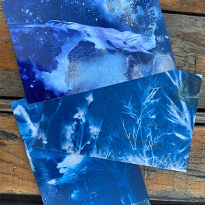 Postal AZUL Flor Pluma Cianotipo Arte Postales Cian Foto Arte Correo Listo Snail Mail Notas Estacionarias Conjunto de 3 Postales