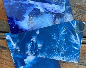 Cartes postales Fleur plume cyanotype - Art photo cyan pour cartes postales, Prêt pour le courrier - Correspondant colibri - Lot de 3 cartes postales