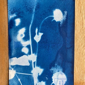 Cartolina blu cianotipi - Stampa cianotipica - Stampa botanica di fiori secchi - Cartolina antica OOAK originale