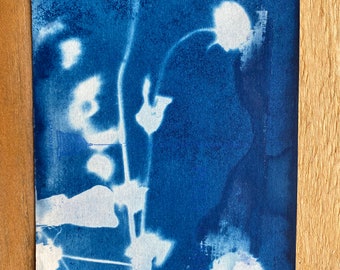 Cyanotypes Blue Postcard - Cyanotype Print - Botanical Dried Flower Print - Antique Postcard OOAK Original