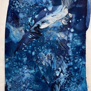 Celestial Cyanotype Feather Plants Photograph| Blue Plant Art | Wet Cyanotype Abstract Art  | 6x9 Small Art Original
