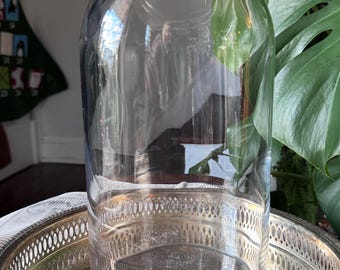 Tall Glass Cloche Dome | Clear Glass Bell Jar | French Cottage Farmhouse Decor Display