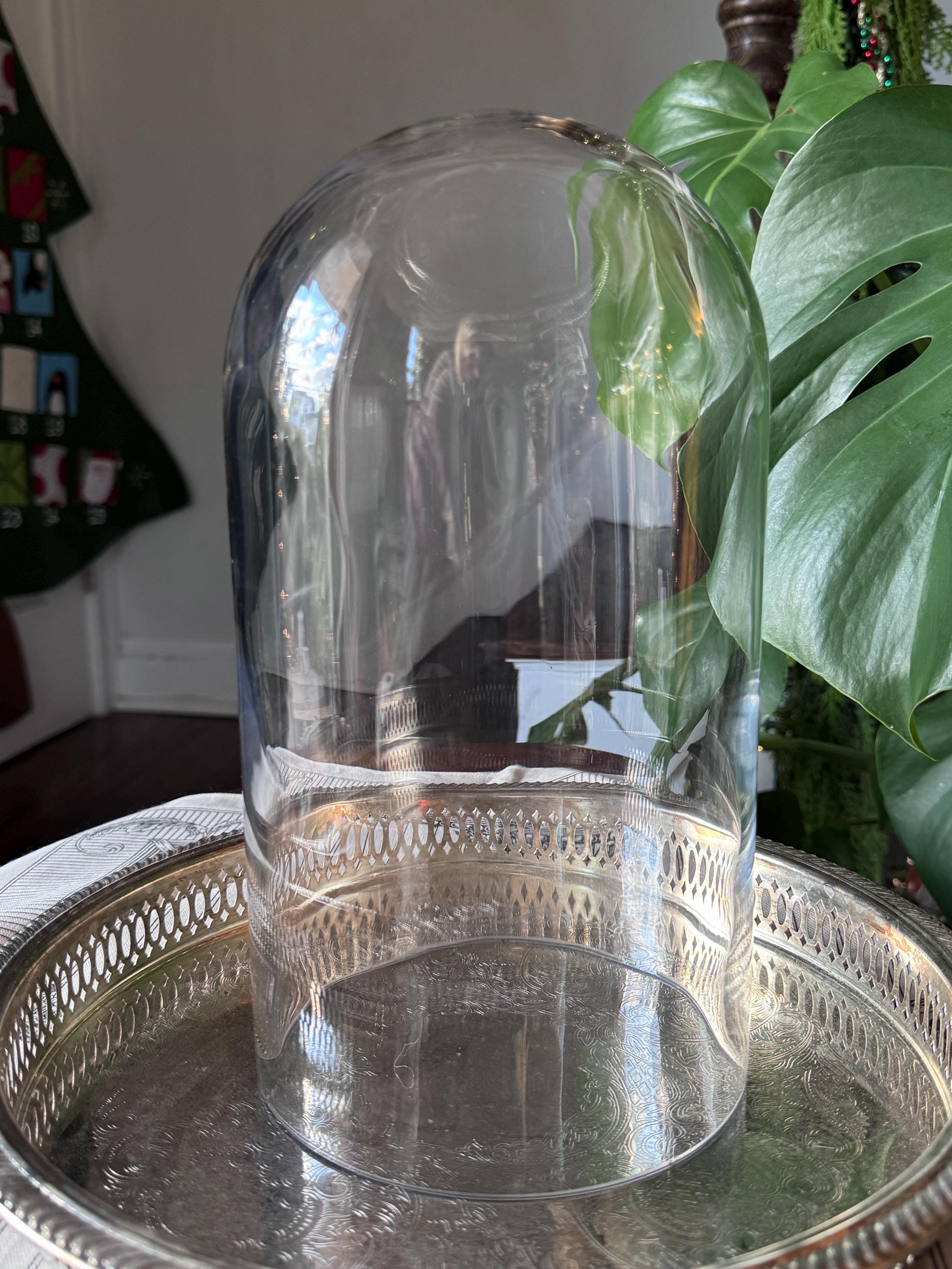 French Vintage Glass Cloche - Etsy