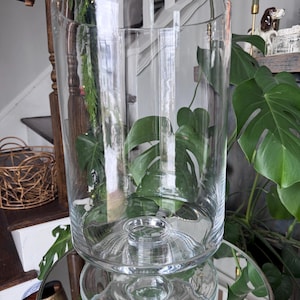 May include: A clear glass cylindrical vase with a wide opening, resting on a mirrored surface. The vase has a rounded base and is filled with green plant leaves. The background includes a staircase and decorative items.