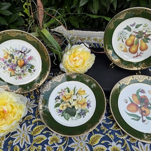 Royal Falcon Gift Ware Plates | Set of 4 | English Dinner Plates | Floral & Fruit Designs | Plate Wall Decor | Green Gold Rim | Vintage