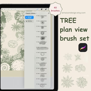 Op de afbeelding: Een digitale illustratie van een boom plattegrond penseelset, weergegeven op een tablet. Het scherm toont een verscheidenheid aan boom- en plantontwerpen, met de tekst "TREE plan view brush set" en "40 brushes". De website-adres lemaisondesign.etsy.com is ook zichtbaar.