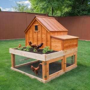 Modern Chicken Coop Build Plan: DIY Backyard Farm (PDF Download)