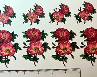 8 cottage roses, paper Die cut, card supplies, scrapbooking, paper crafting, greeting cards, journaling, pink, flower, rose