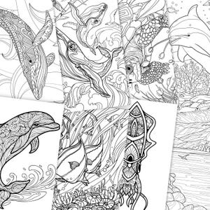 36 High Quality Coloring Pages with Detailed Ocean Odyssey PDF Instant Download + Cover