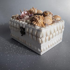 Op de afbeelding: Een witte rechthoekige doos versierd met diverse schelpen en een decoratieve sluiting. De bovenkant van de doos is versierd met een verscheidenheid aan schelpen in tinten bruin, beige en roze. De doos is bedekt met kleine witte schelpen.