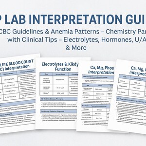 May include: A collection of printed guides titled "NP LAB INTERPRETATION GUIDE" with the subtitle "CBC Guidelines & Anemia Patterns - Chemistry Panels with Clinical Tips - Electrolytes, Hormones, U/A & More." The guides include "COMPLETE BLOOD COUNT (CBC) Interpretation" and "Ca, Mg, Phos Interpretation."