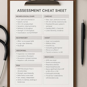 Assessment Cheat Sheet for NPs & Nurses | Clinical Exam PDF | Bundle All 3 Templates (SOAP, Assessment, Resource) for 12.15