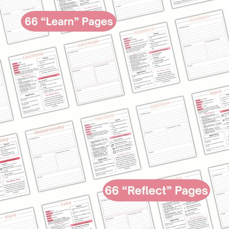May include: A collection of white paper study sheets featuring pink headers and text for various books of the Bible, including Leviticus, Matthew, Mark, and Luke. The sheets contain sections for observations, questions, and prayers, with 66 Learn and 66 Reflect pages.